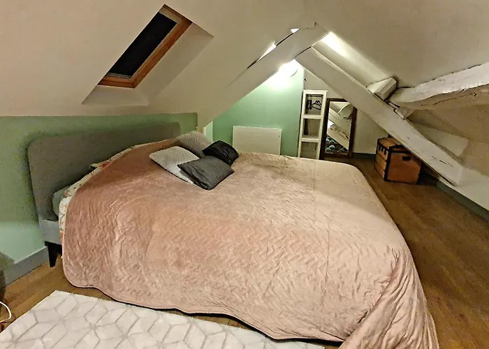 Green&cosy Vue Sur Le Château Appartement Sedan